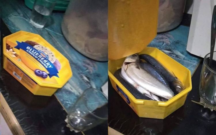 Buka Wadah Makanan Yang Bikin Gemeteran